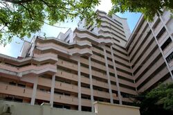 Blk 517 Pangshan Valley (Bukit Panjang), HDB Executive #606816991